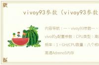 vivoy93参数（vivoy93参数）