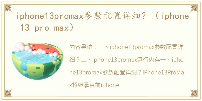 iphone13promax参数配置详细？（iphone 13 pro max）