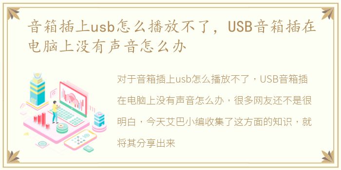 音箱插上usb怎么播放不了，USB音箱插在电脑上没有声音怎么办