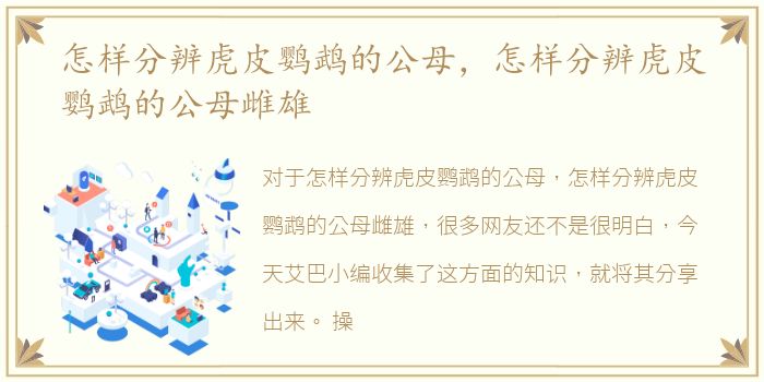 洛阳安乐师范后面那条街