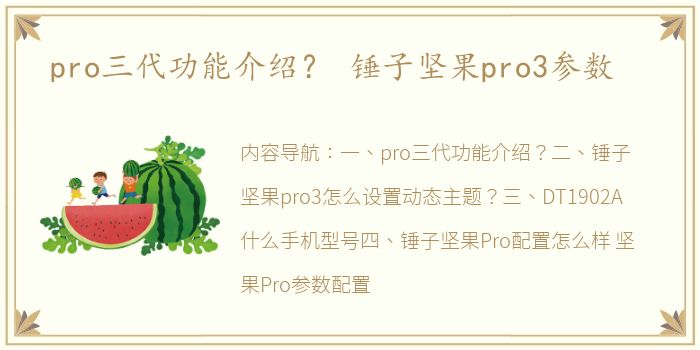 pro三代功能介绍？ 锤子坚果pro3参数