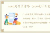 ccvp是什么意思（ccv是什么意思）