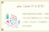 gap（year什么意思）