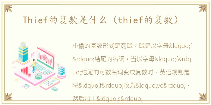 Thief的复数是什么（thief的复数）