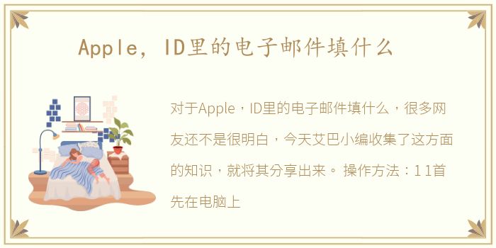 Apple，ID里的电子邮件填什么