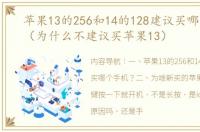 苹果13的256和14的128建议买哪个手机？（为什么不建议买苹果13）