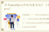 华为mate9pro升级鸿蒙系统？（华为mate9pro）