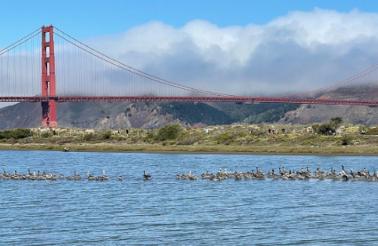 旧金山城市指南在旧金山Crissy Field推出全新免费气候变化之旅