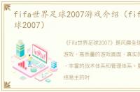 fifa世界足球2007游戏介绍（fifa世界足球2007）