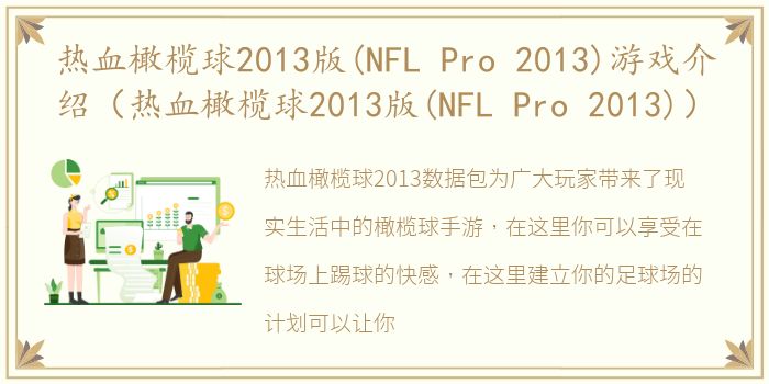 热血橄榄球2013版(NFL Pro 2013)游戏介绍（热血橄榄球2013版(NFL Pro 2013)）