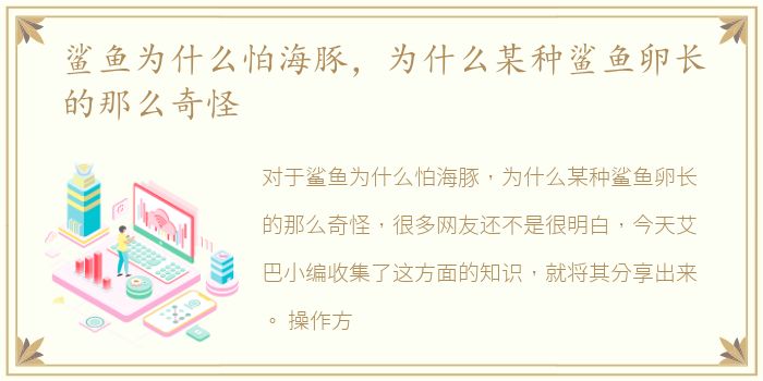 平邑商贸城公寓怎么找娘们