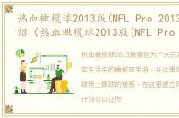 热血橄榄球2013版(NFL Pro 2013)游戏介绍（热血橄榄球2013版(NFL Pro 2013)）