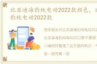 比亚迪海豹纯电动2022款颜色，比亚迪海豹纯电动2022款