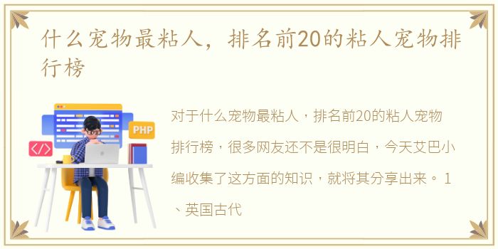 什么宠物最粘人，排名前20的粘人宠物排行榜