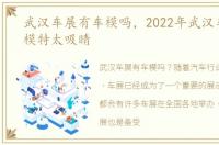 武汉车展有车模吗，2022年武汉车展靓丽模特太吸睛