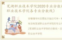 芜湖职业技术学院2020专业分数线（芜湖职业技术学院各专业分数线）