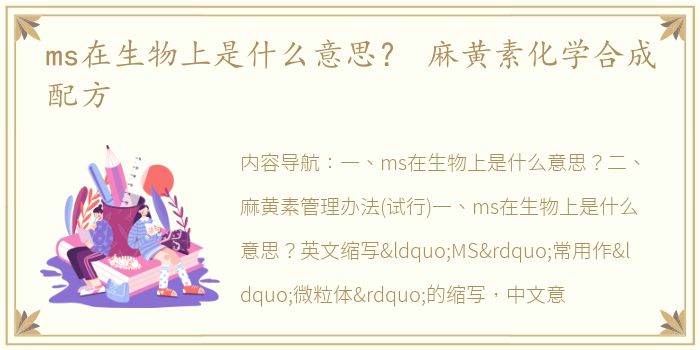 ms在生物上是什么意思？ 麻黄素化学合成配方