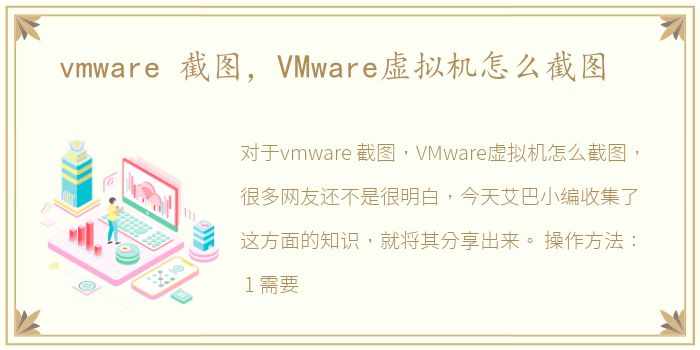 vmware 截图，VMware虚拟机怎么截图