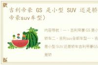 吉利帝豪 GS 是小型 SUV 还是轿车（吉利帝豪suv车型）