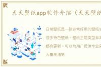 天天壁纸app软件介绍（天天壁纸app）