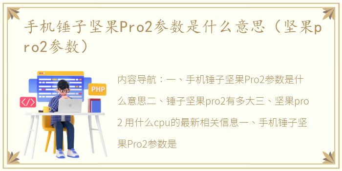 手机锤子坚果Pro2参数是什么意思（坚果pro2参数）