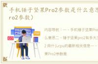 手机锤子坚果Pro2参数是什么意思（坚果pro2参数）