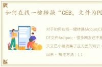 如何在线一键转换“CEB，文件为PDF文件”