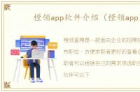 橙领app软件介绍（橙领app）