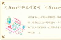 闲鱼app私聊在哪里啊，闲鱼app如何私聊