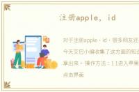 注册apple，id