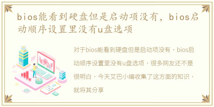 bios能看到硬盘但是启动项没有，bios启动顺序设置里没有u盘选项