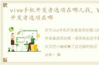 vivo手机开发者选项在哪儿找，VIVO手机开发者选项在哪