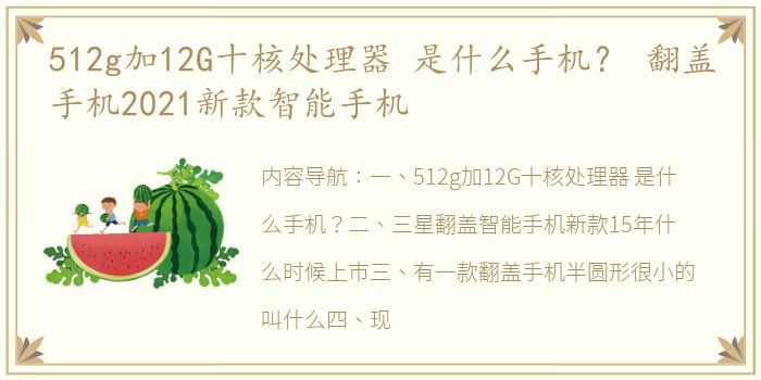 512g加12G十核处理器 是什么手机？ 翻盖手机2021新款智能手机