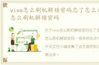 vivo怎么刷机解锁密码忘了怎么办，vivo怎么刷机解锁密码