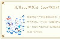 纯电suv哪款好（suv哪款好）