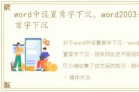 word中设置首字下沉，word2003如何设置首字下沉