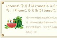 iphone已停用连接itunes怎么办需要电脑吗，iPhone已停用连接itunes怎么办