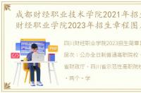 成都财经职业技术学院2021年招生（四川财经职业学院2023年招生章程图片）