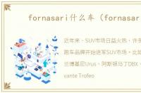 fornasari什么车（fornasari）