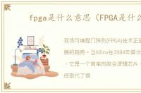 fpga是什么意思（FPGA是什么）