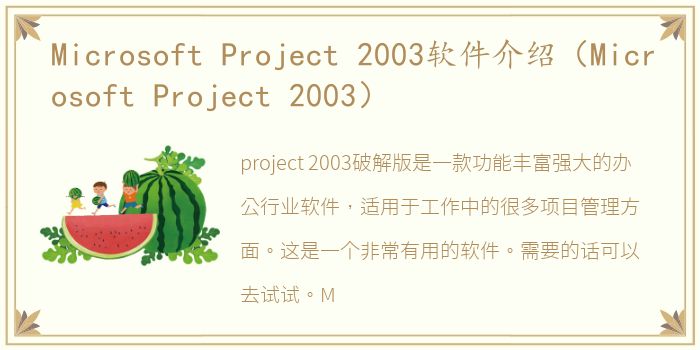 Microsoft Project 2003软件介绍（Microsoft Project 2003）