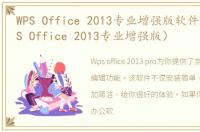 WPS Office 2013专业增强版软件介绍（WPS Office 2013专业增强版）