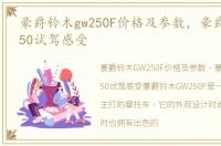 豪爵铃木gw250F价格及参数，豪爵铃木GW250试驾感受