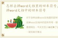 怎样去掉word文档里的回车符号，怎么去掉word文档中的回车符号