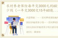 农村养老保险每年交3000元到60岁能领多少钱（一年交3000交15年60能领多少钱）