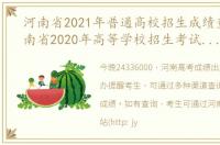 河南省2021年普通高校招生成绩查询（河南省2020年高等学校招生考试成绩查询）