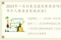 2023年一月补发过渡性养老金吗？（2023年个人养老金实施办法）