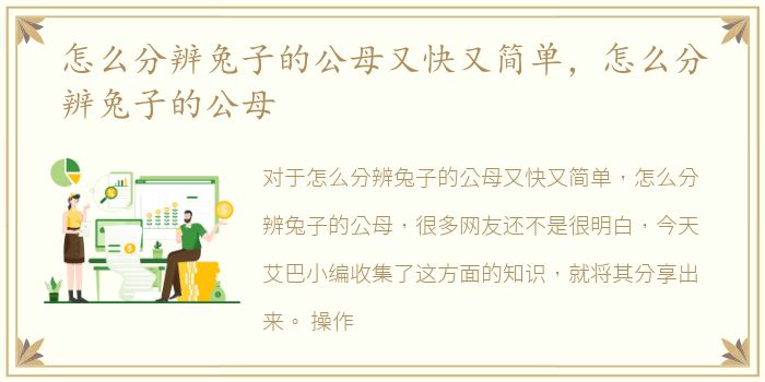 怎么分辨兔子的公母又快又简单，怎么分辨兔子的公母