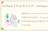 nethack手机版游戏介绍（nethack手机版）