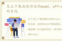 怎么下载我跟你说的msdn，office等文件的系统